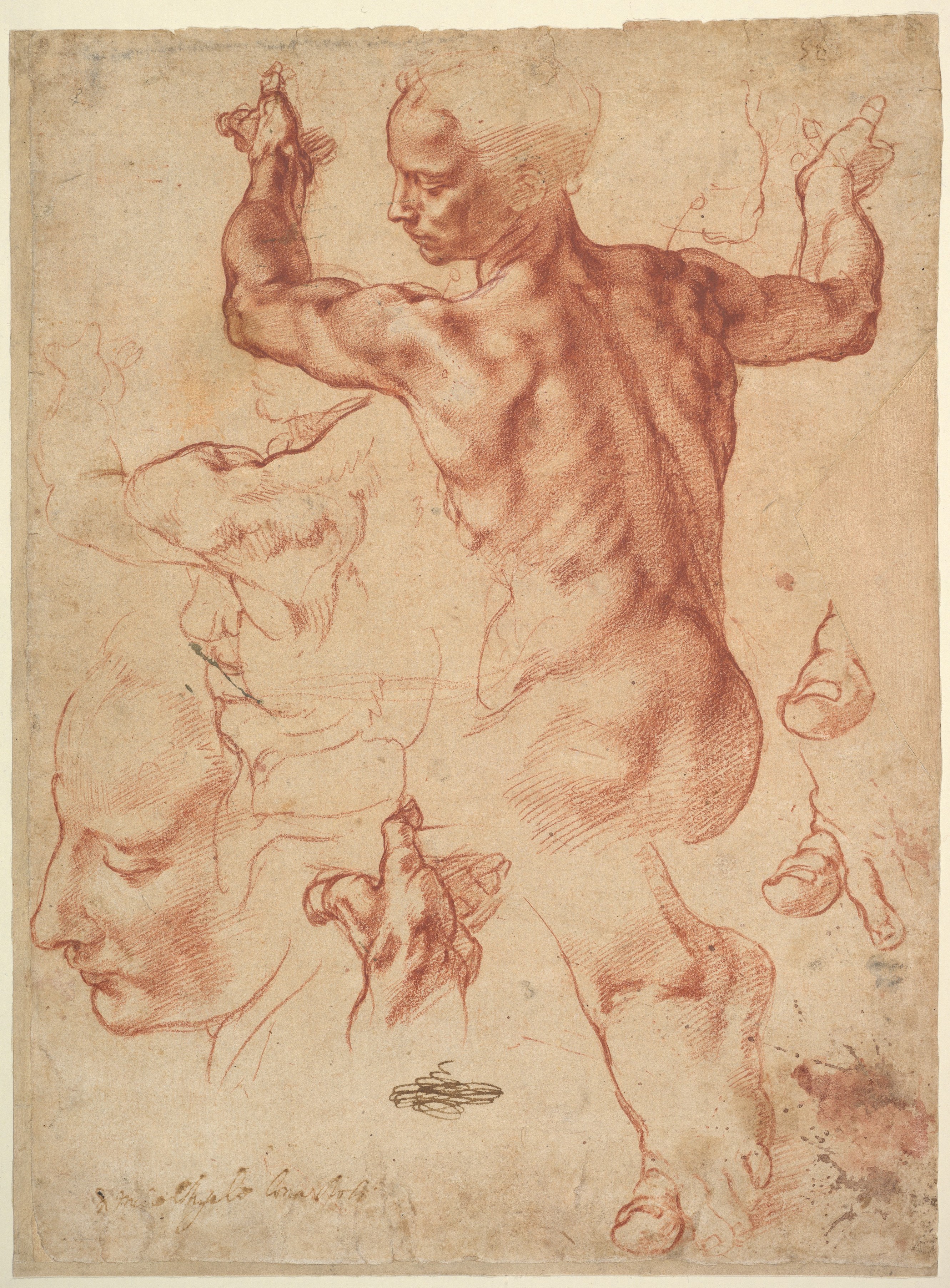 Michelangelo Buonarroti